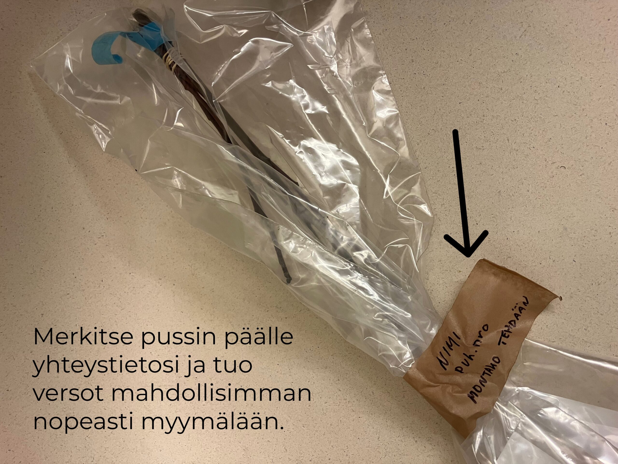 Omenapuun varttaminen