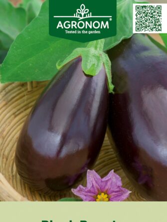 munakoiso Black Beauty