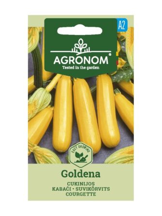 kesäkurpitsa Goldena