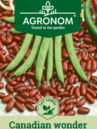 tarhapapu Canadian Wonder