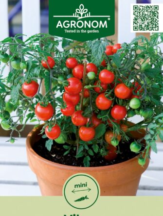 ruukkutomaatti Vilma