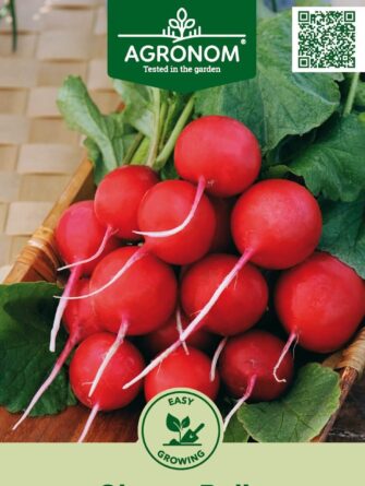 retiisi cherry belle