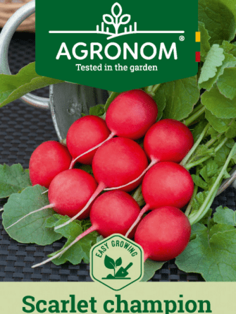 retiisi Scarlet Champion