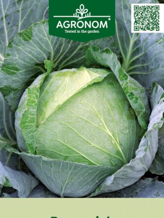 valkokaali Brunswick