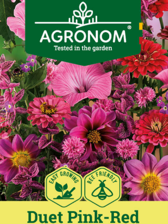 kesäkukkaseos punasävyissä