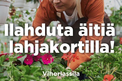 ilahduta äitiä ilahduta äitiä
