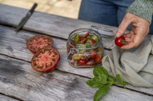 NelsonGarden_Tomatåret-2025-17 NelsonGarden_Tomatåret-2025-17