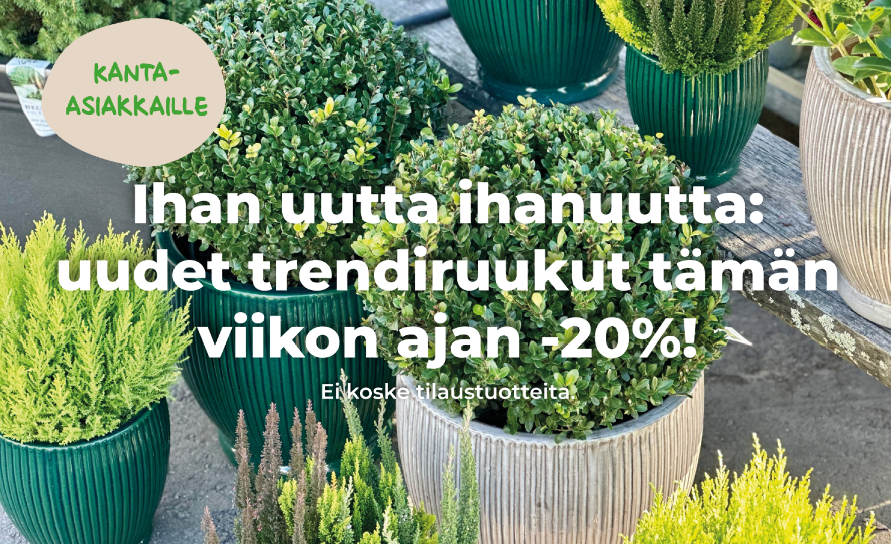 Uudet trendiruukut Uudet trendiruukut